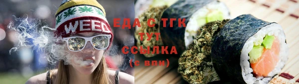хмурый Абаза