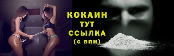 хмурый Абаза