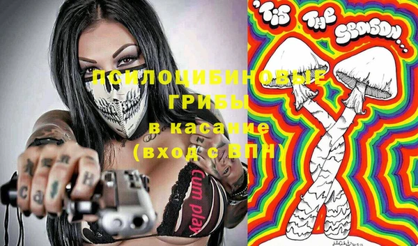 хмурый Абаза