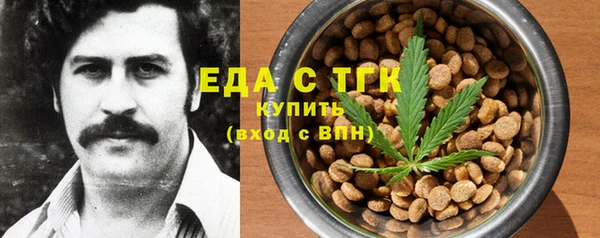 хмурый Абаза