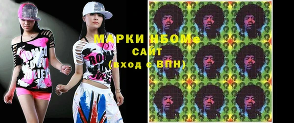 хмурый Абаза