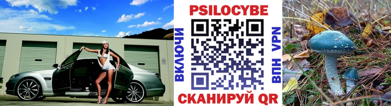 МЕГА ONION Владикавказ Псилоцибиновые грибы мицелий